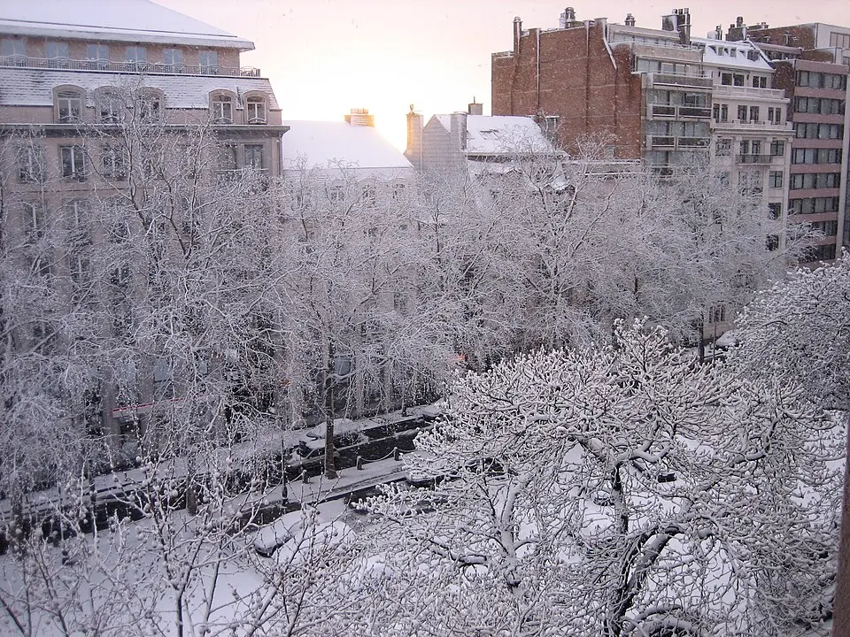 Avenue Louise & Toison d'Or